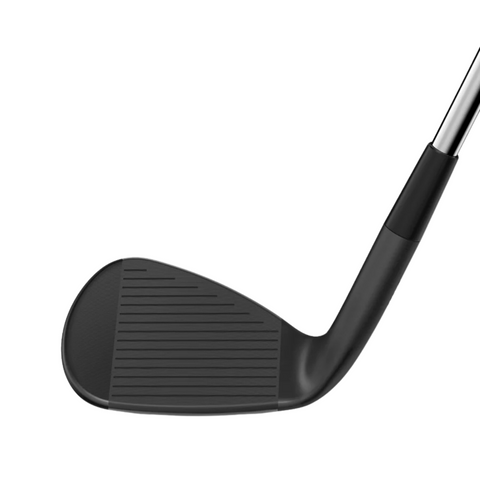 Wilson Infinite Wedge