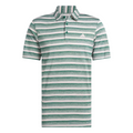 The Adidas Two-Colour Striped Men's Polo Shirt features green and white horizontal stripes, short sleeves, a collar with three buttons, moisture-wicking fabric.