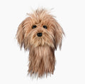 Daphne’s Scruffy Dog golf driver headcover with shaggy tan plush fur, black eyes and nose.