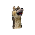 Daphne's Wolf golf driver headcover shown at a three-quarter angle with brown, cream and grey shaggy plush fur, upright ears, black nose and red tongue