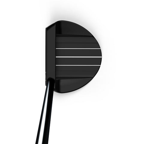 Wilson 2024 Infinite Bean Putter address view