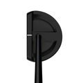Wilson Infinite ZT Lakeview Putter top address view