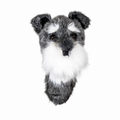 Daphne's Schnauzer golf driver headcover with grey plush coat, white eyebrows and beard, folded ears, dark eyes and pointed black nose