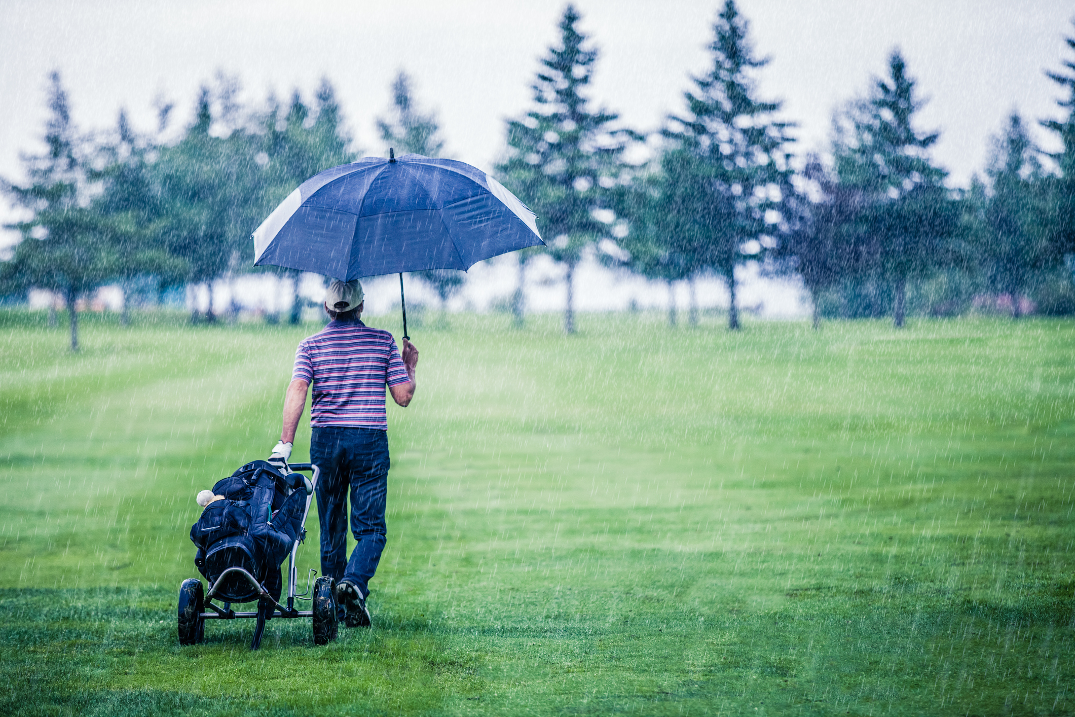 Man holding an umbrella in the rain while walking on a golf course.
