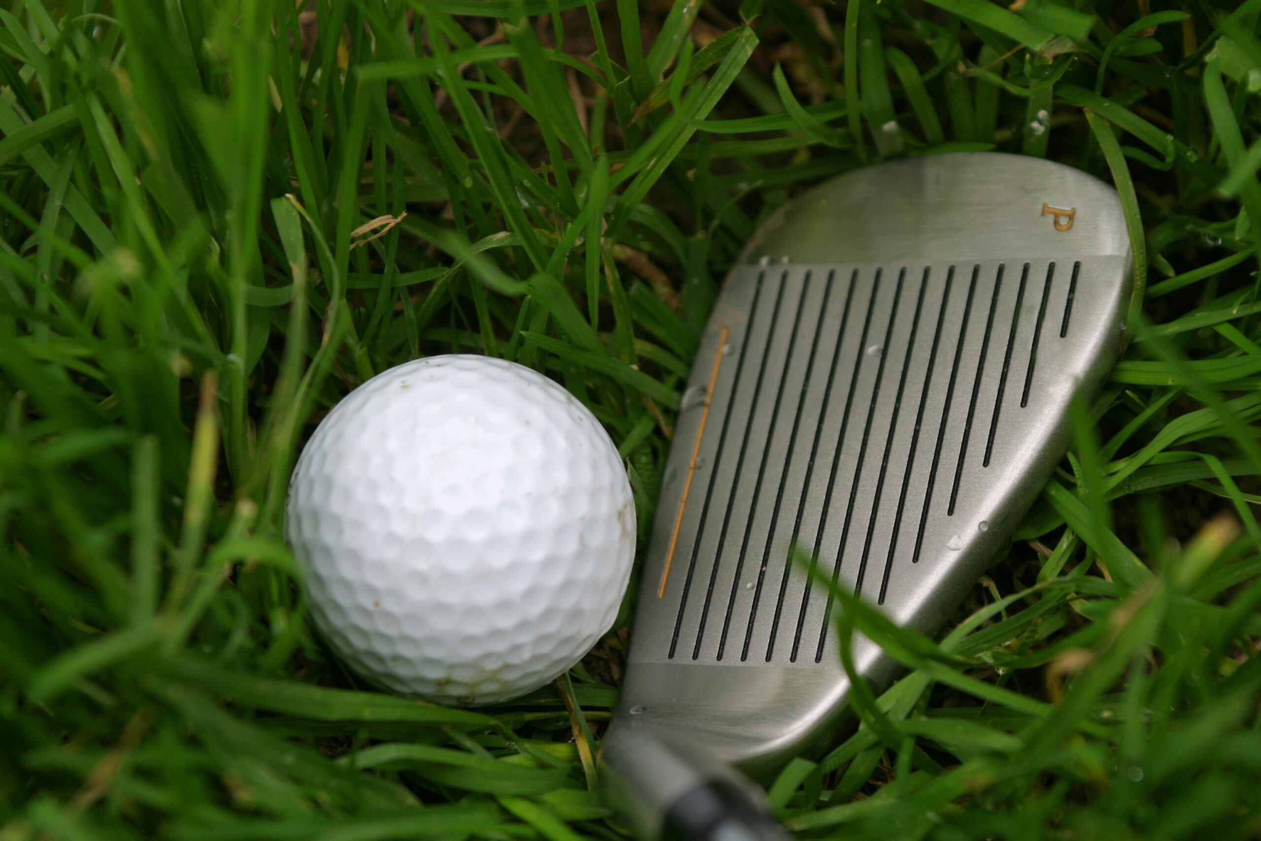 A golf ball resting on the grass next to a golf club.
